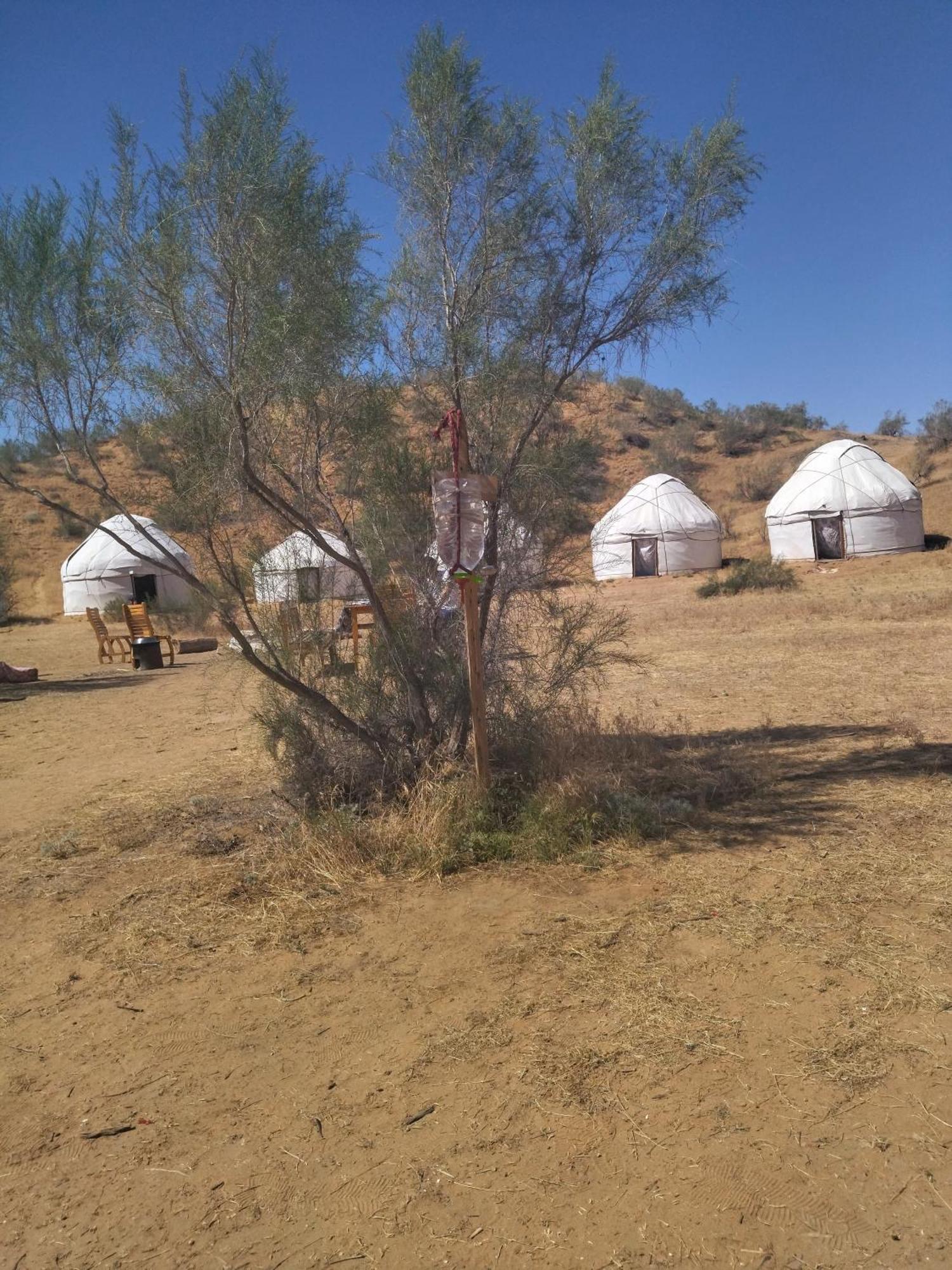 Готель Authentic Uzbek Yurt Camp Eco-Friendly Nurota Екстер'єр фото
